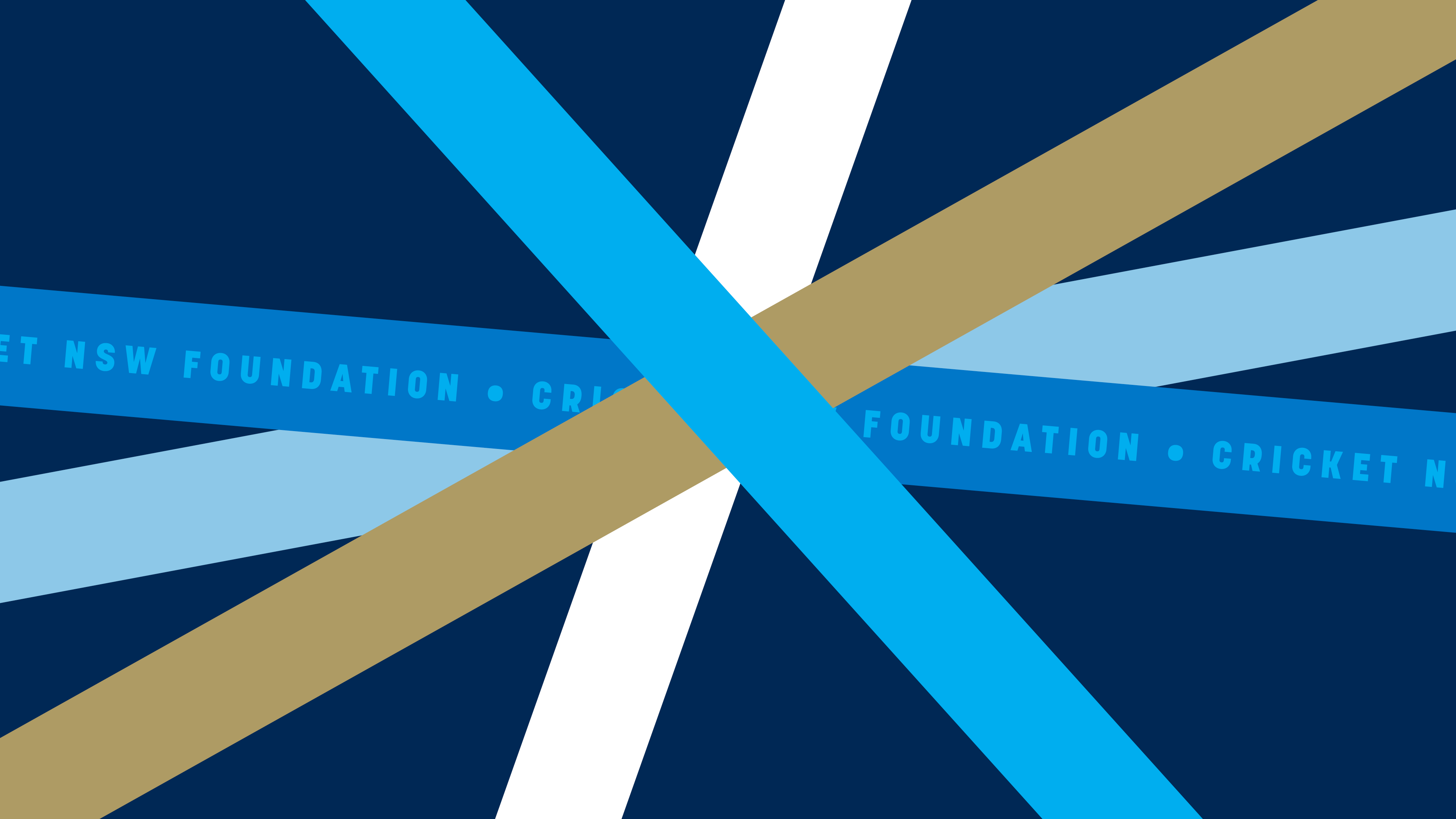 Cricket NSW visual identity 05
